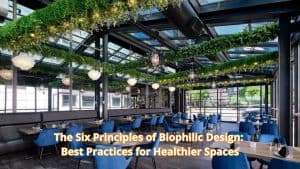 The Six Principles of Biophilic Design: Best Practices for Healthier Spaces